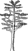 imagen Arbol en alzado 127, en Arboles en alzado - Arboles y plantas