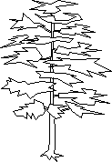 imagen Arbol en alzado 128, en Arboles en alzado - Arboles y plantas