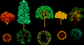 Planos de Arboles alzado y planta colores, en Arboles en alzado – Arboles y plantas