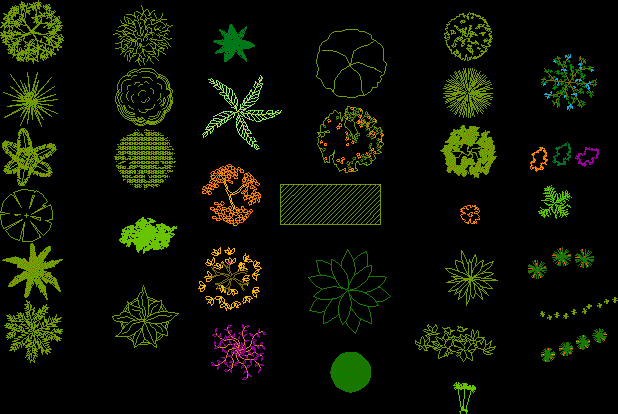 Planos de Arboles en planta, en Arboles en planta – Arboles y plantas
