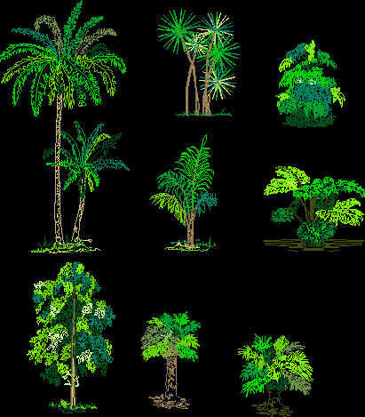 Planos de Arboles y palmas, en Palmeras en alzado – Arboles y plantas