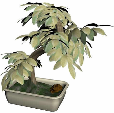 Arbusto 3ds max, en Plantas de interior 3d – Arboles y plantas