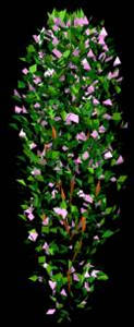 imagen Arbustos en 3d 007, en Arbustos en 3d - Arboles y plantas