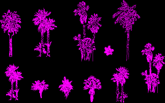 imagen Bloques de palmeras, en Palmeras en alzado - Arboles y plantas