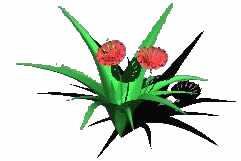 imagen Flor  3d, en Plantas de interior 3d - Arboles y plantas