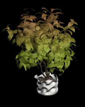 imagen Interior 3d planta, en Arbustos en 3d - Arboles y plantas