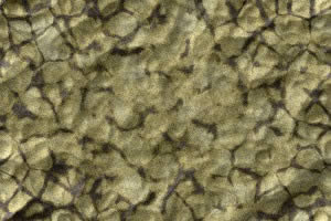 imagen Marmol perla con vetas negras, en Piedra - Texturas