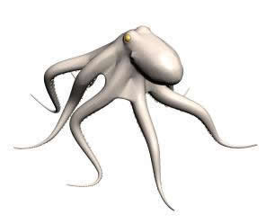 Octopus 3d, en Animales 3d – Animales