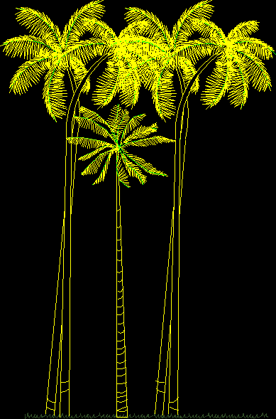 imagen Palmas en alzado, en Palmeras en alzado - Arboles y plantas