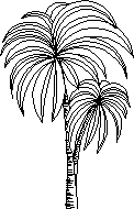 imagen Palmera 2d, en Arboles en alzado - Arboles y plantas