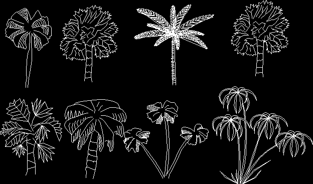 Planos de Palmeras- vistas., en Palmeras en alzado – Arboles y plantas