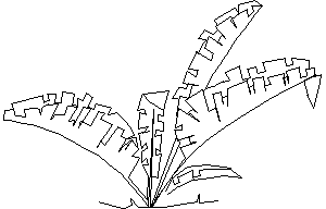 Planos de Planta en alzado, en Arbustos en alzado – Arboles y plantas