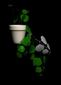 imagen Planta en maceta 3d, en Plantas de interior 3d - Arboles y plantas