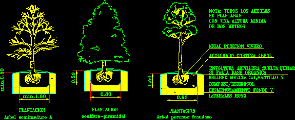 Planos de Plantacion de arboles, en Arboles en alzado – Arboles y plantas