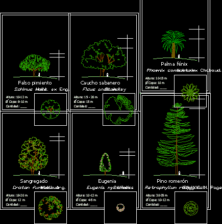 Planos de Vegetacion – clasificacion botanica, en Clasificación botánica – Arboles y plantas